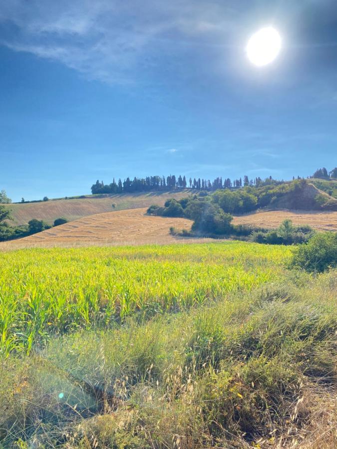 Agriturismo I Moricci Peccioli Exteriör bild