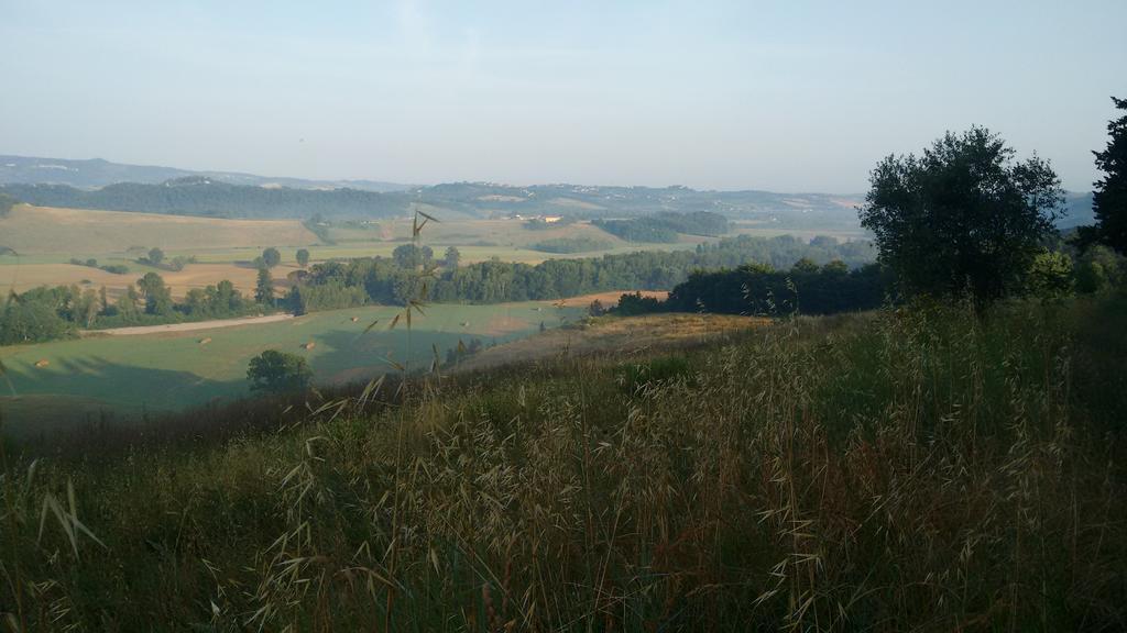 Agriturismo I Moricci Peccioli Exteriör bild