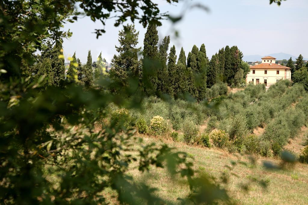 Agriturismo I Moricci Peccioli Exteriör bild
