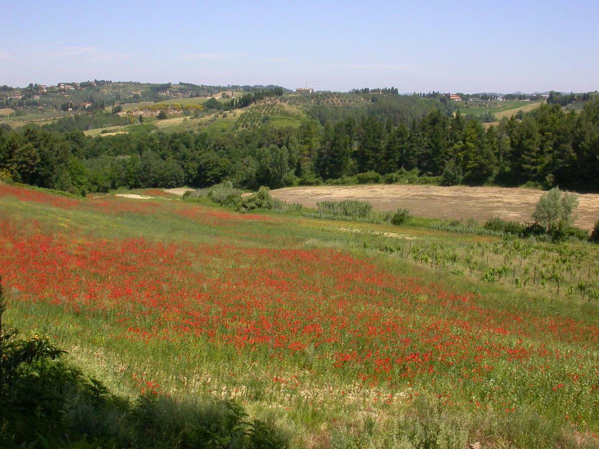 Agriturismo I Moricci Peccioli Exteriör bild